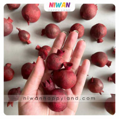 انار تزئینی خشک شده 5عددی