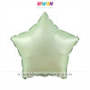 بادکنک فویلی ستاره سبز پاستلی 4 بادکنک فویلی ستاره سبز پاستلی